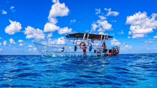 Paseo en Lancha Transparente + Snorkel en Museo y Arrecife