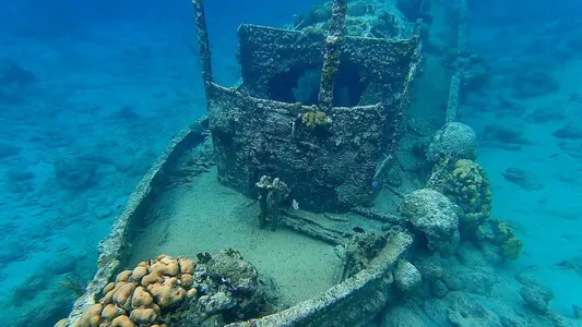 Paseo en Lancha + Snorkel en Museo y Barco Hundido